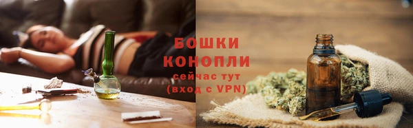 прущие грибы Арсеньев