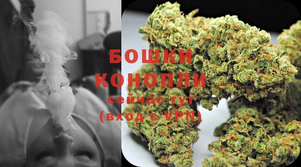 ПСИЛОЦИБИНОВЫЕ ГРИБЫ Баксан